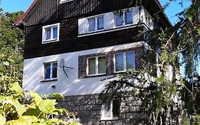 Słoneczko